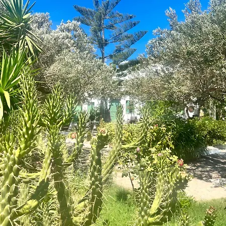 Xarites Skyros